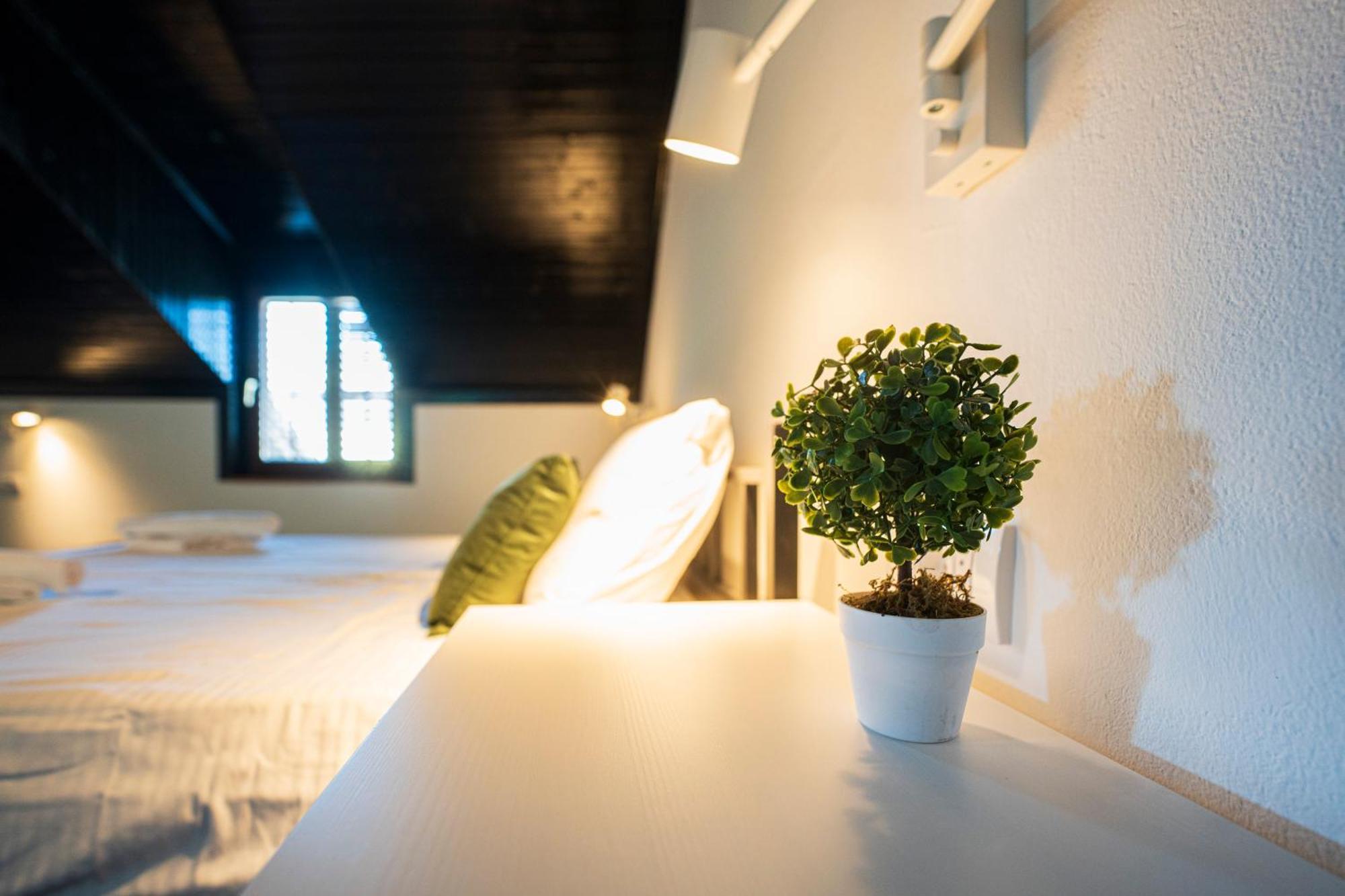 Cozy Nook B&B - Free Private Parking 노비사드 외부 사진